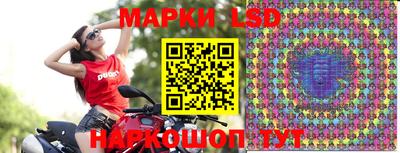 mdpv Камышлов