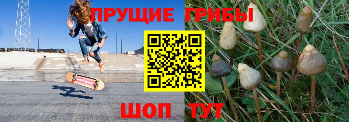 Псилоцибиновые грибы прущие грибы Лабытнанги